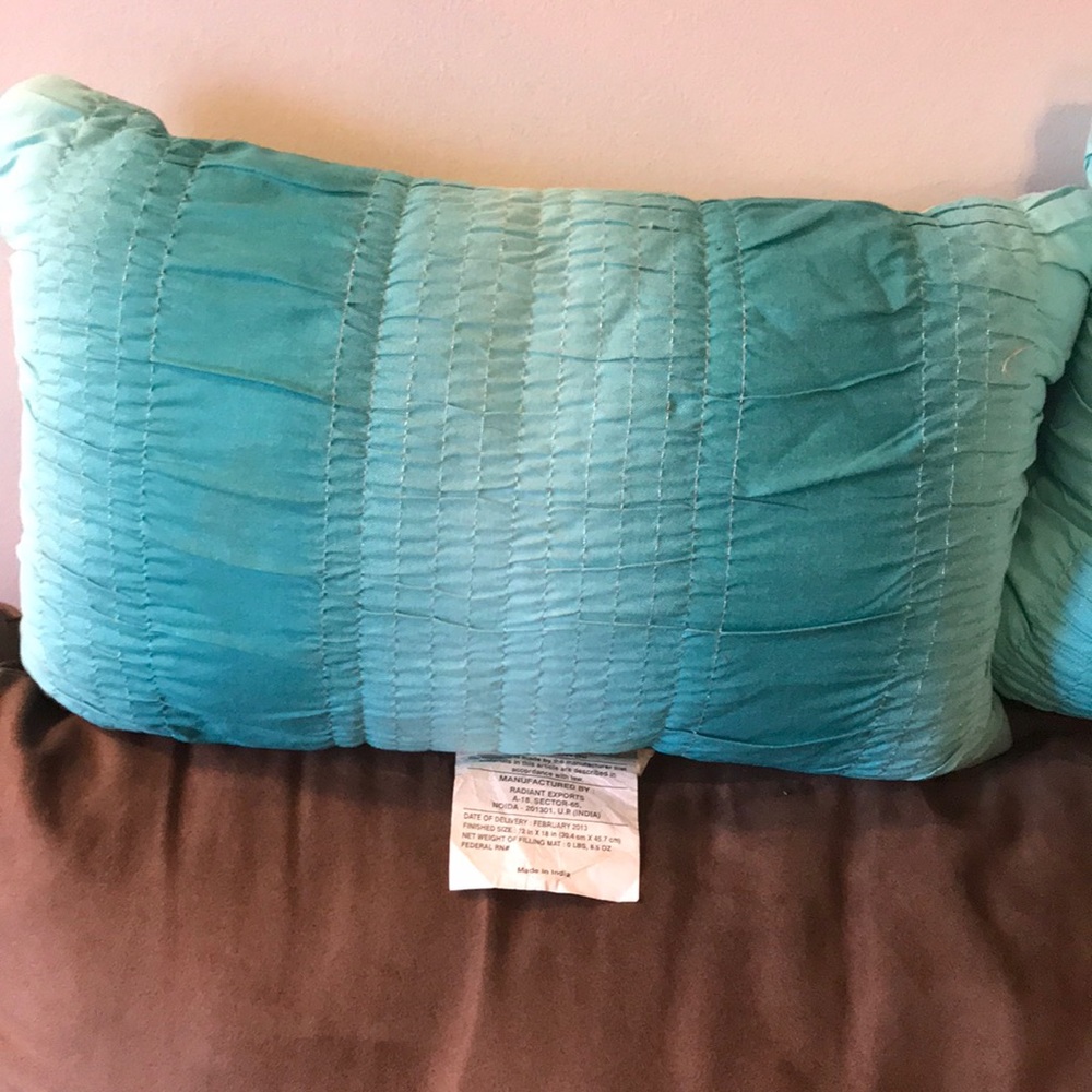 Teal throw pillows( set of 2)